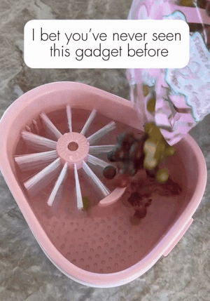 Fruit Cleaning Device Ⓢ