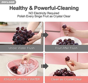 Fruit Cleaning Device Ⓢ